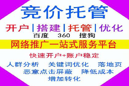 SEM托管公司案例分析：优化预算分配